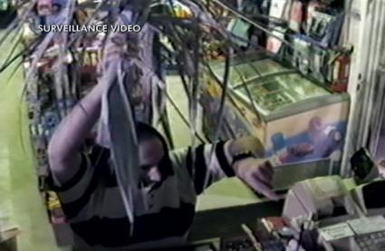 Palm Frond Robber.jpg